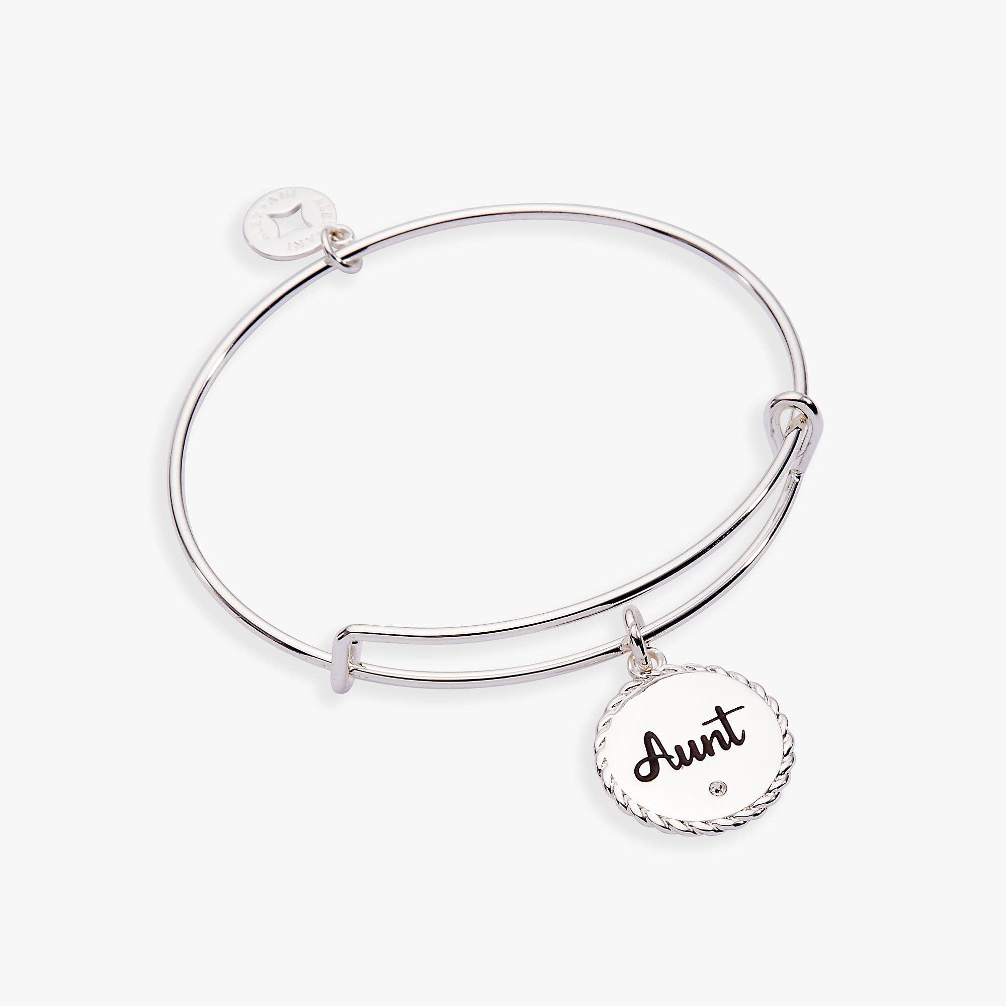 Aunt 'A Trusting Guide Forever By My Side' Charm Bangle: Gold