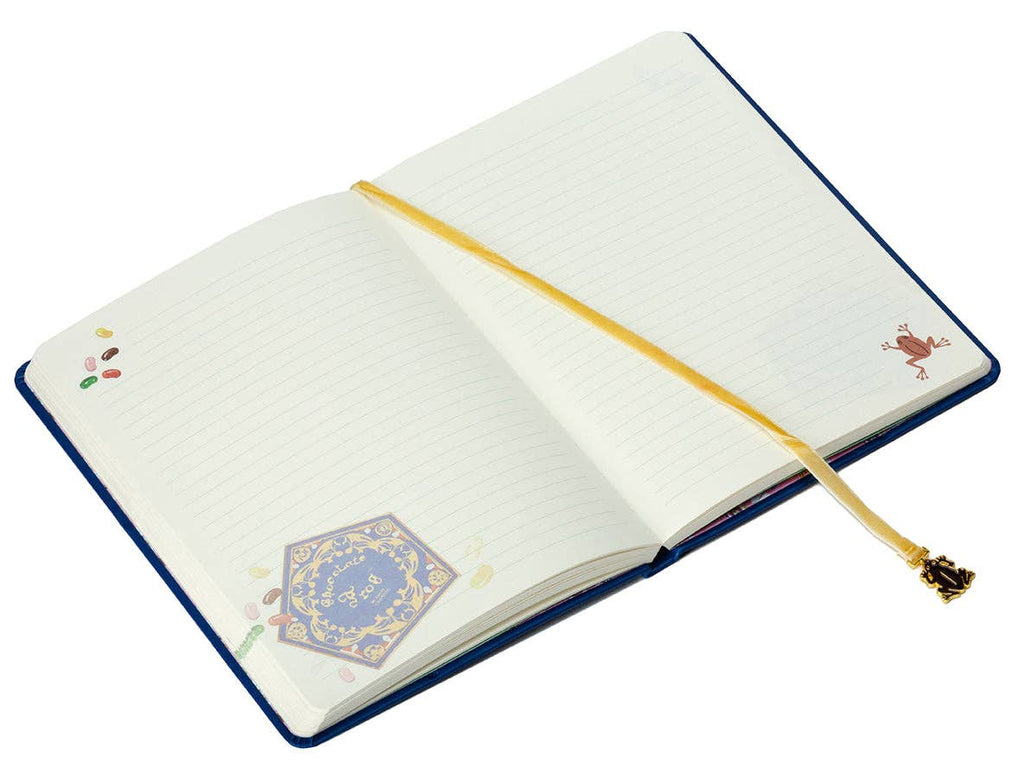 Harry Potter: Chocolate Frog Journal with Ribbon Charm