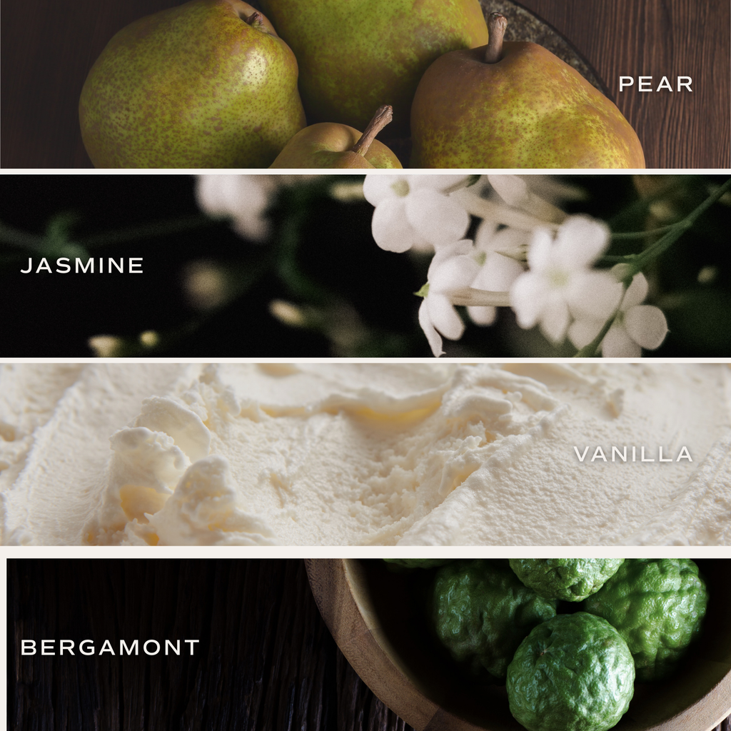 Cashmere and Vanilla Reed Diffuser - Home Decor & Gifts