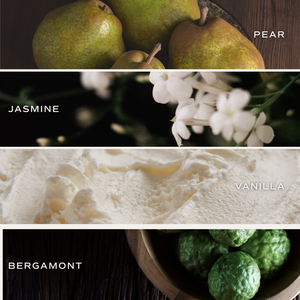 Cashmere and Vanilla Reed Diffuser - Home Decor & Gifts