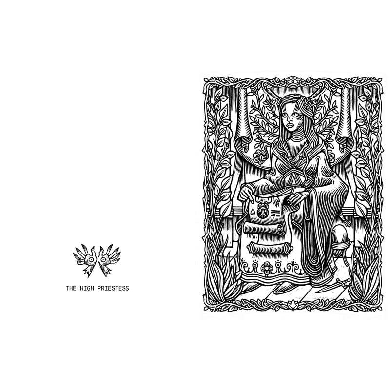 Tarot del Toro Coloring Book (SALE)