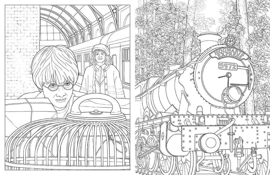 Harry Potter: Travels Through the Wizarding World