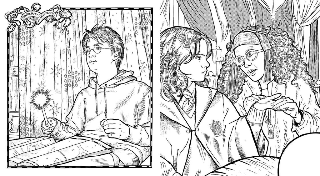 Harry Potter: Coloring Wizardry