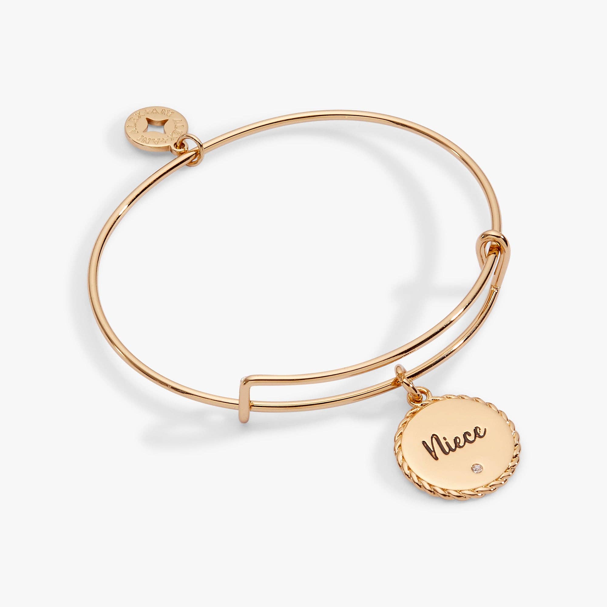 Niece 'Unbreakable Bond Of Love And Friendship' Charm Bangle: Gold