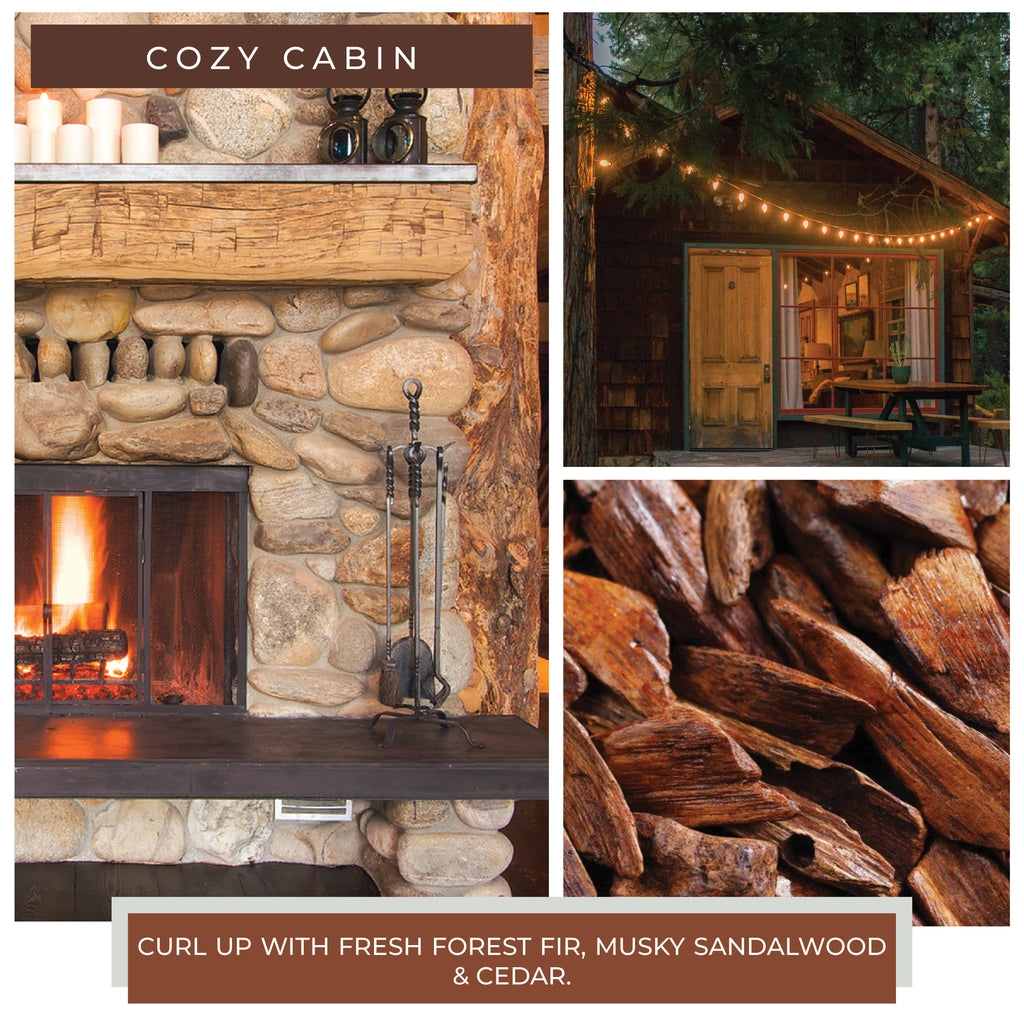 Melts (6/tray) - Cozy Cabin