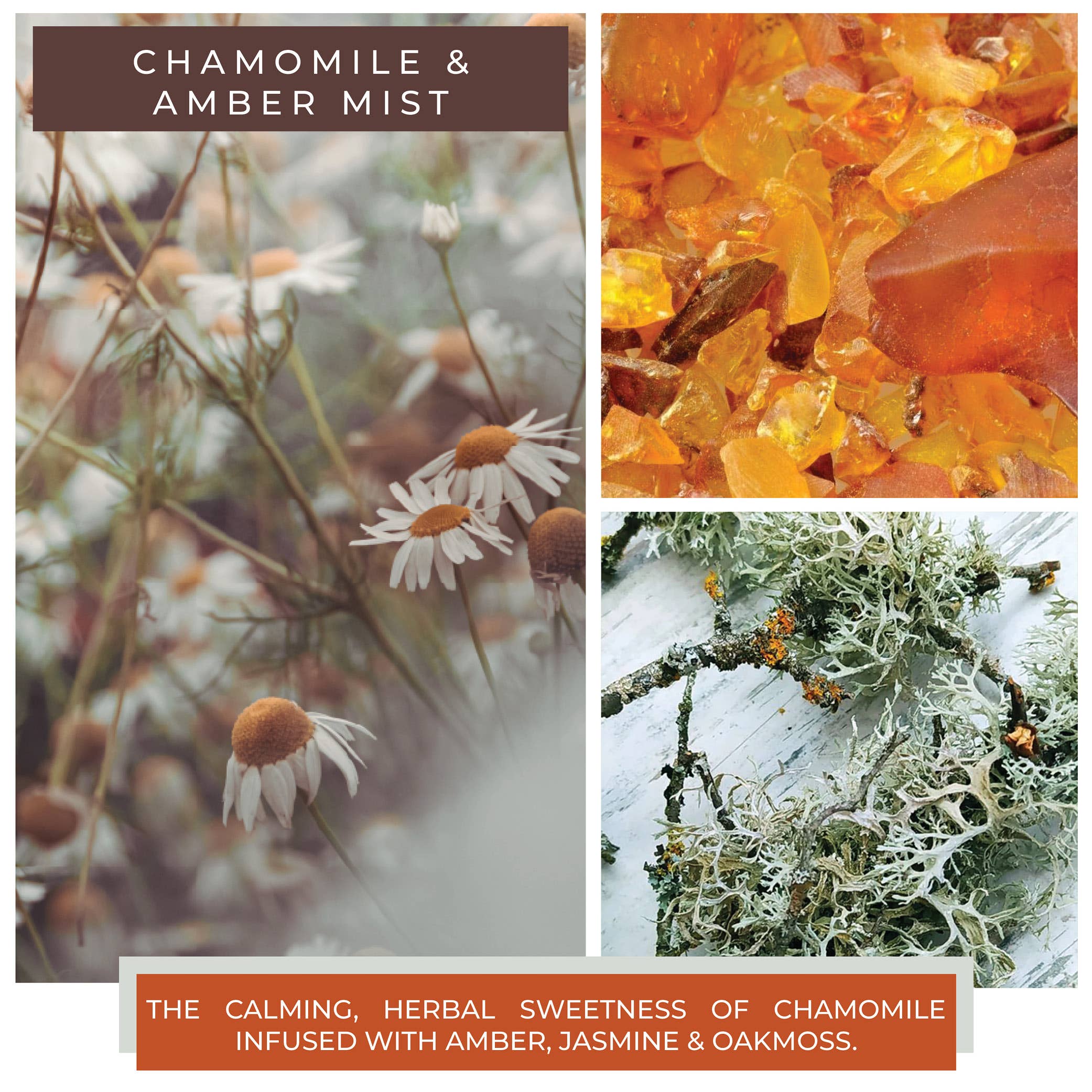 KOTL Papa Candle (34oz.) - Chamomile & Amber Mist