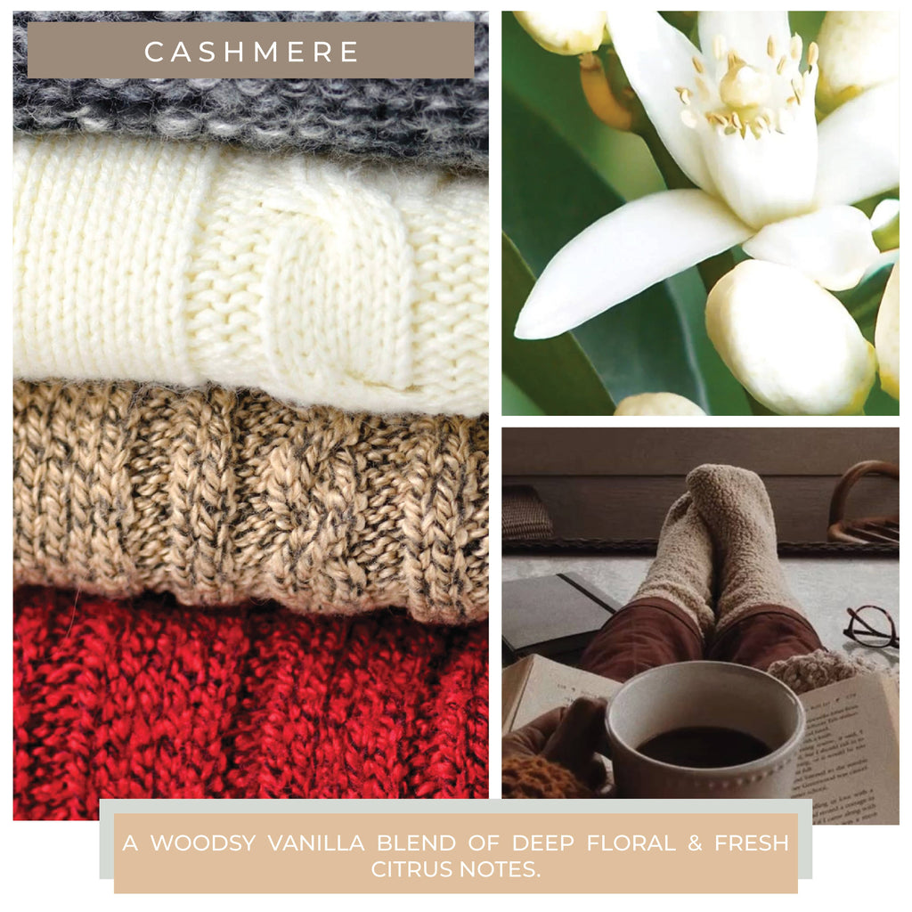 Melts (6/tray) - Cashmere