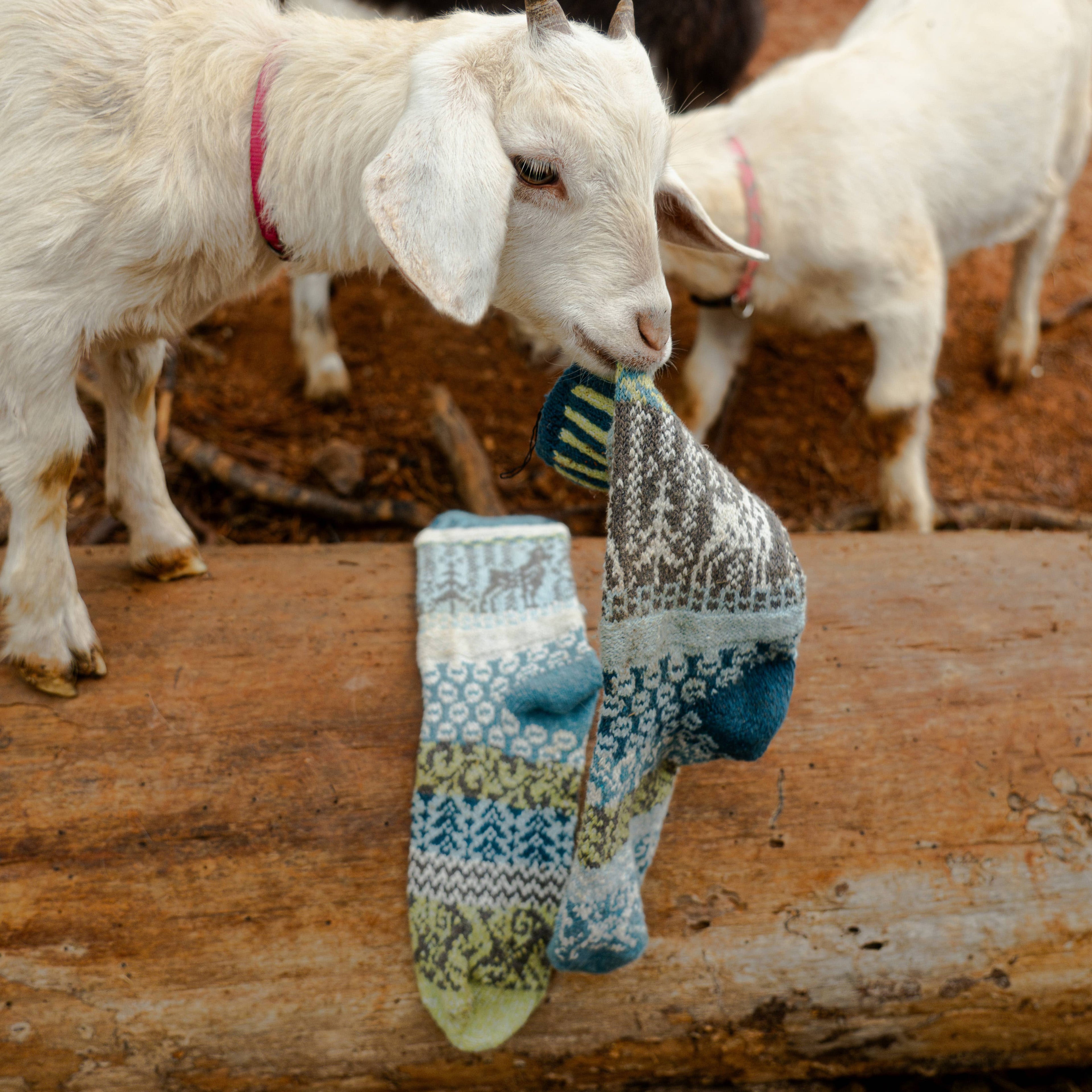 Goat Crew Socks | Socks That Give Back to National Parks: Medium (Women 8 - 10 / Men 7 - 9)