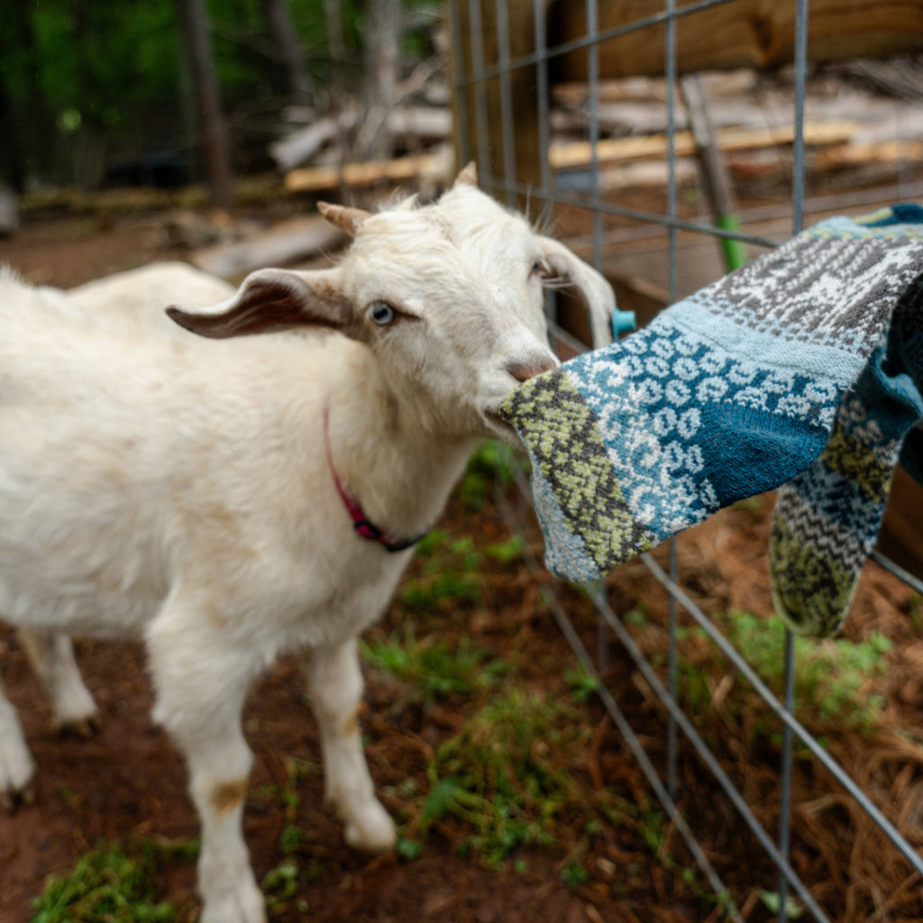 Goat Crew Socks | Socks That Give Back to National Parks: Small (Women 6 - 8 / Men 5 - 7)
