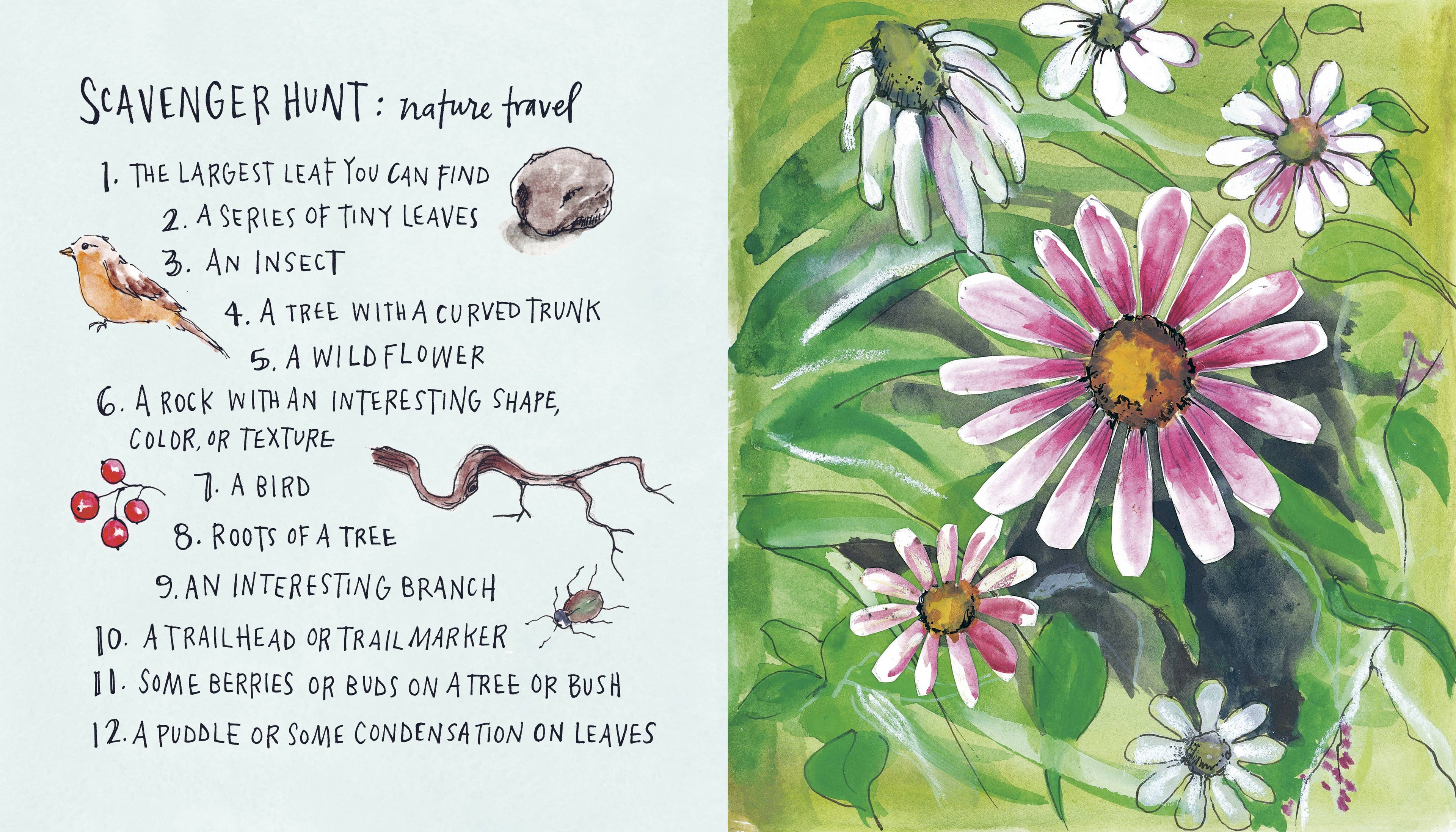 Draw Your Adventures