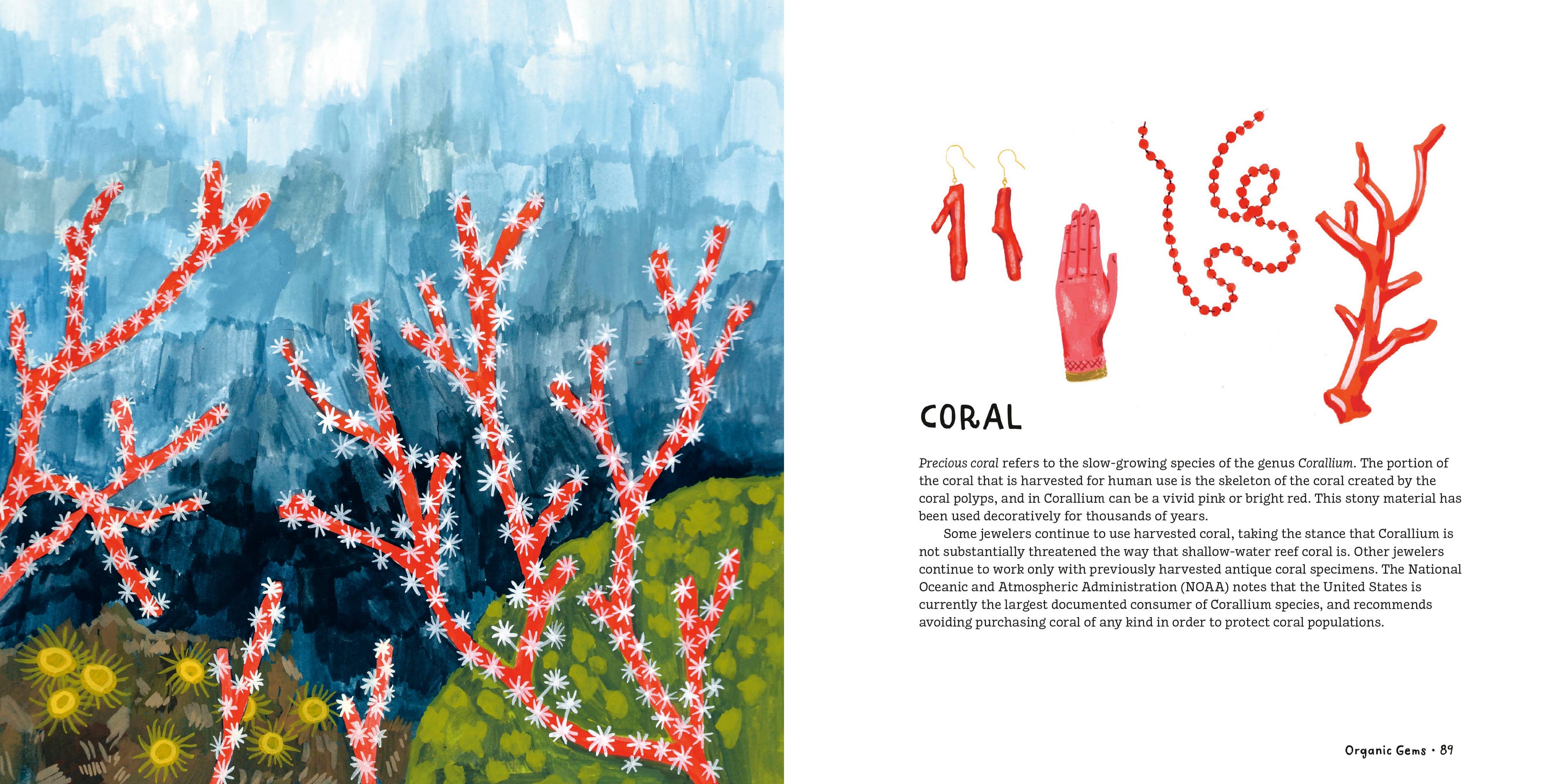 Crystals, Rocks, and Gemstones