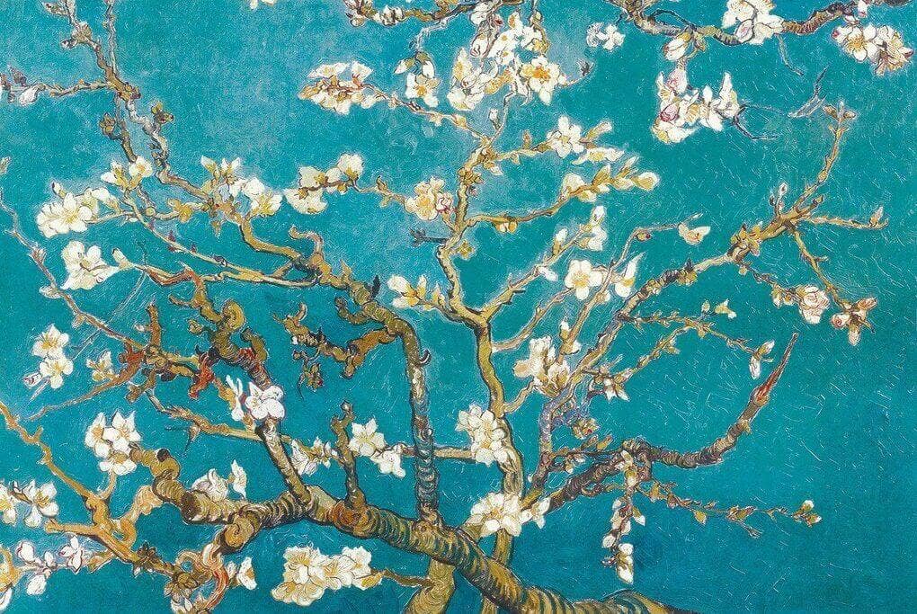 Almond Blossom By Van Gogh Poster - 24" X 36": Shrinkwrapped on Cardboard