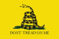 Don't Tread On Me American Independence Poster - 24" X 36": Shrinkwrapped on Cardboard