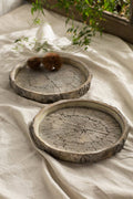 Cement Log Dish