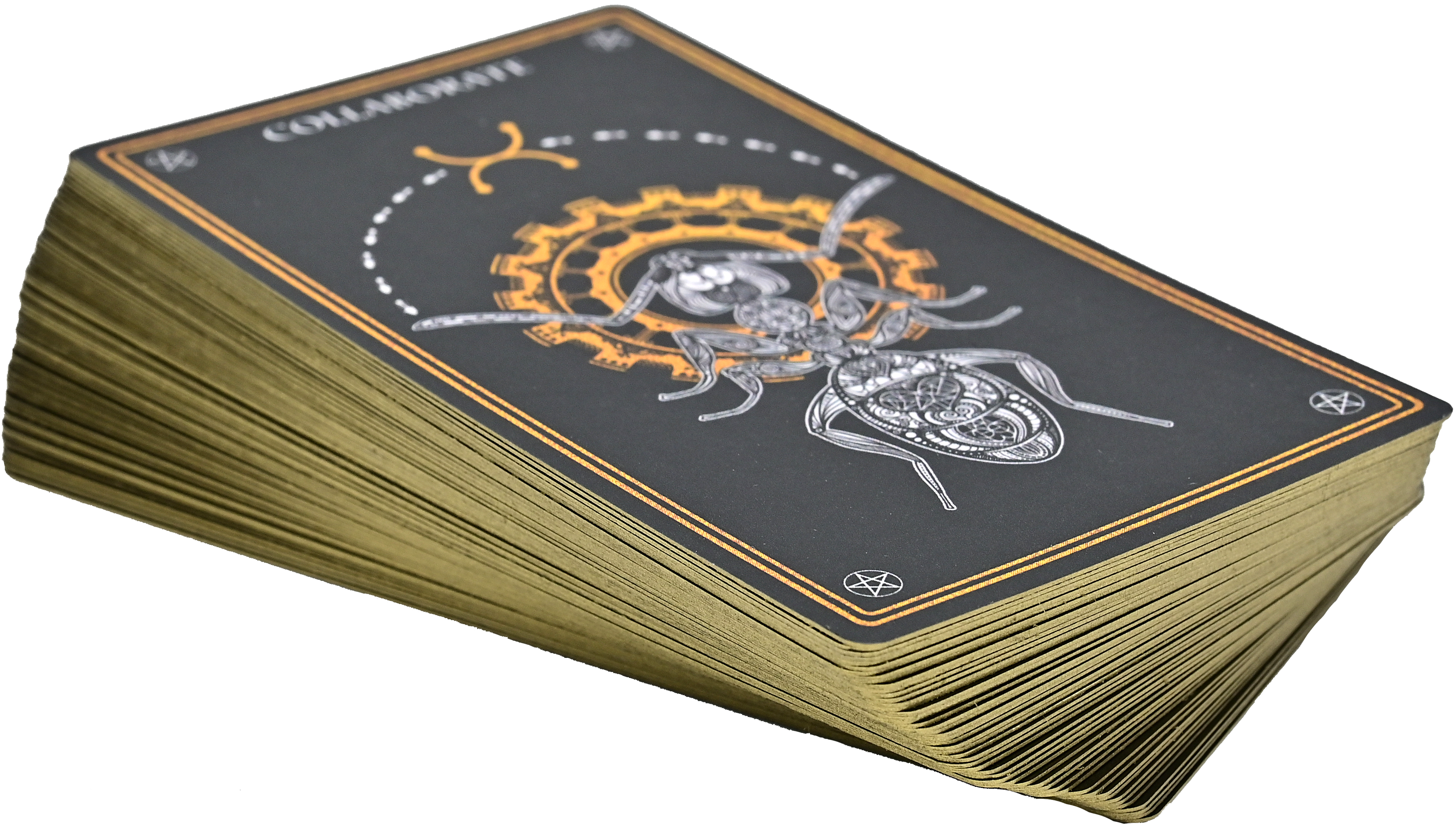 Wild Mystic Oracle Card Deck