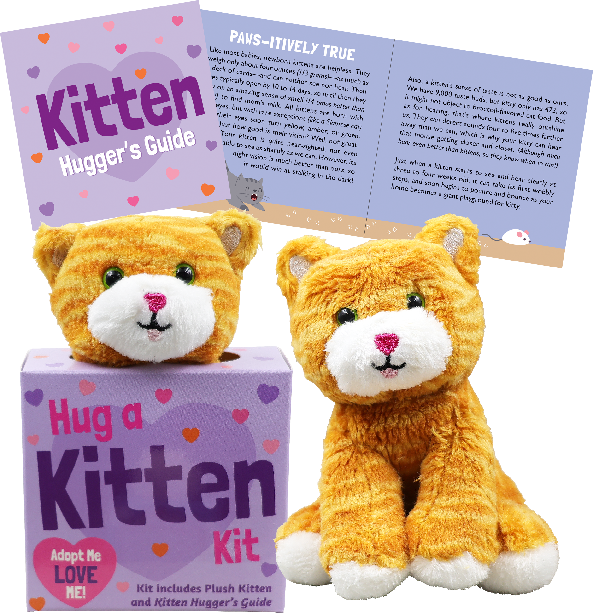 Hug a Kitten Kit
