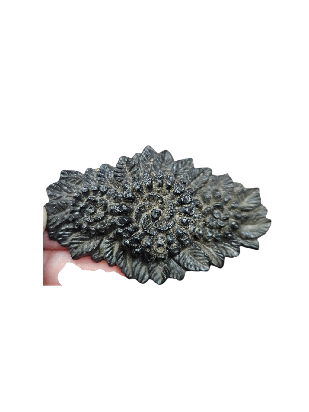 Antique Victorian Floral Mourning Brooch (c. 1870-1880)