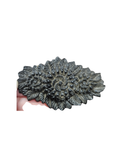 Antique Victorian Floral Mourning Brooch (c. 1870-1880)