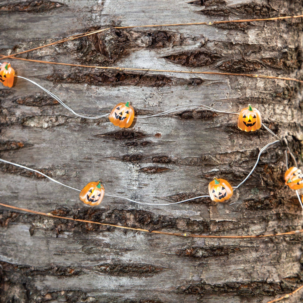 LED Timer Jack O Lantern Lights, 15ct