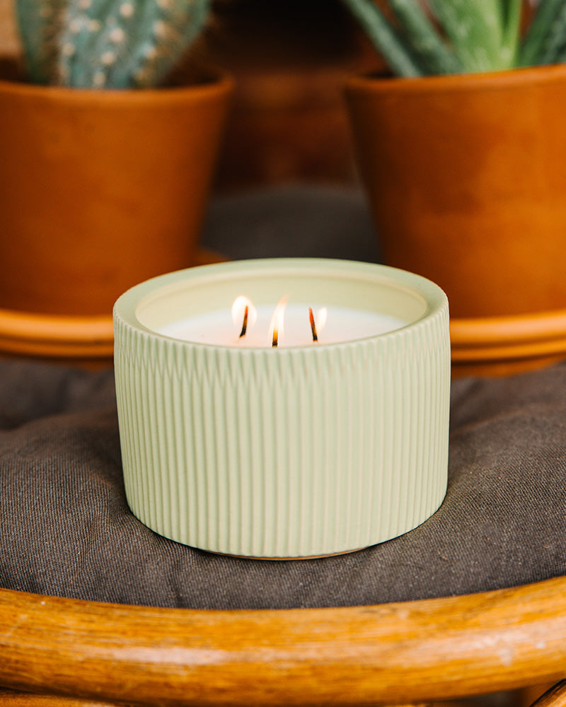 Agave Cactus Candle