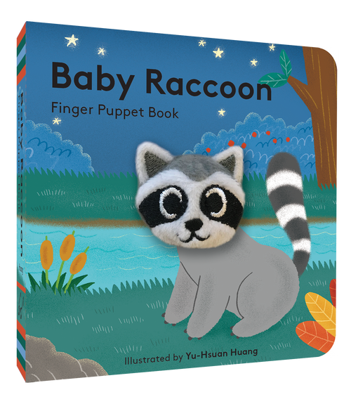 Baby Raccoon