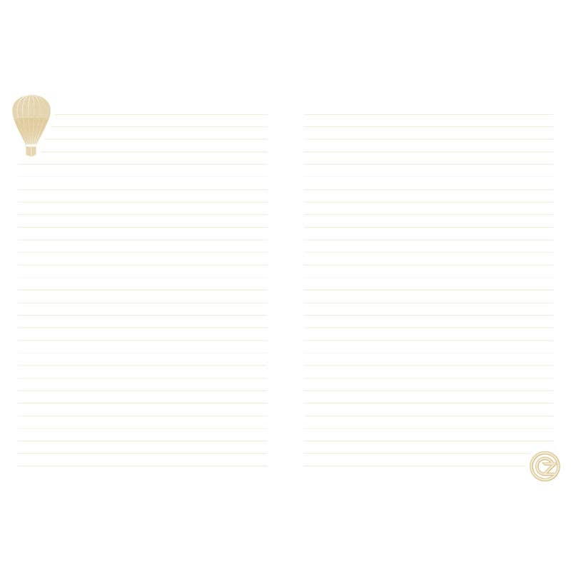 Wicked: Wizard’s Balloon Sculpted Journal - SALE!