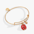 'Make Your Own Luck' Ladybug Charm Bangle: Gold