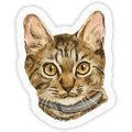 Beans Sticker