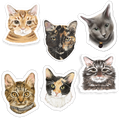 Faces Of Kitty Town Sticker Pack