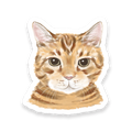 Roy Sticker