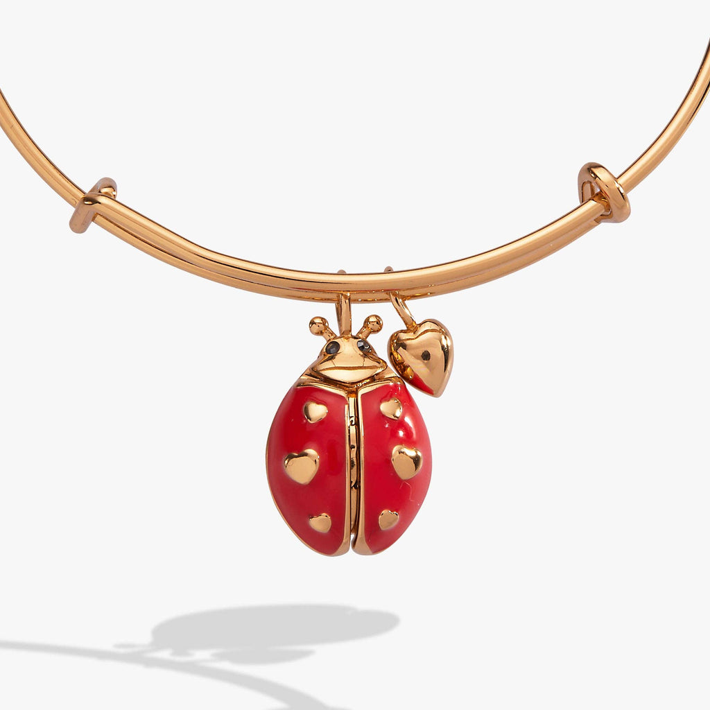 'Make Your Own Luck' Ladybug Charm Bangle: Gold