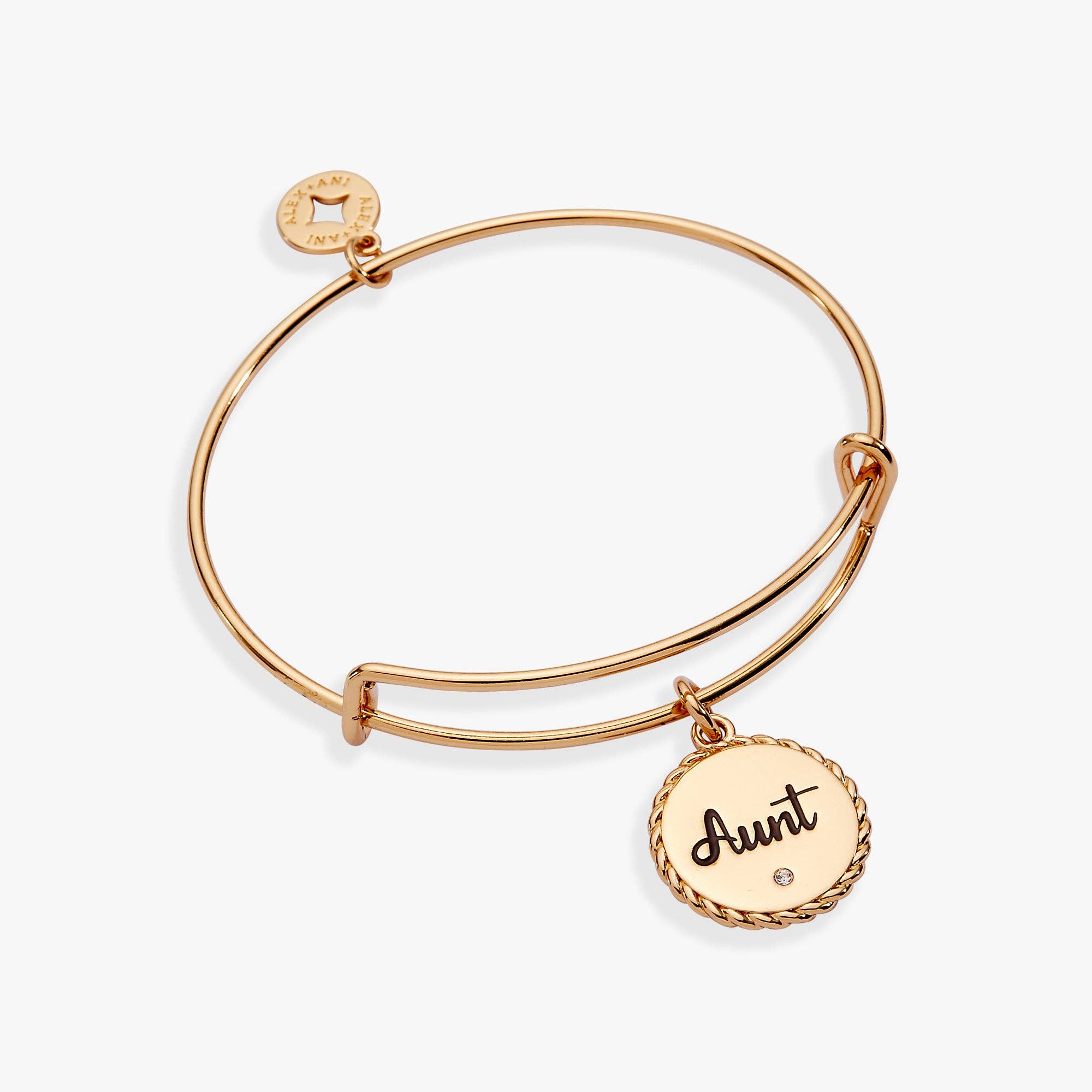Aunt 'A Trusting Guide Forever By My Side' Charm Bangle: Gold