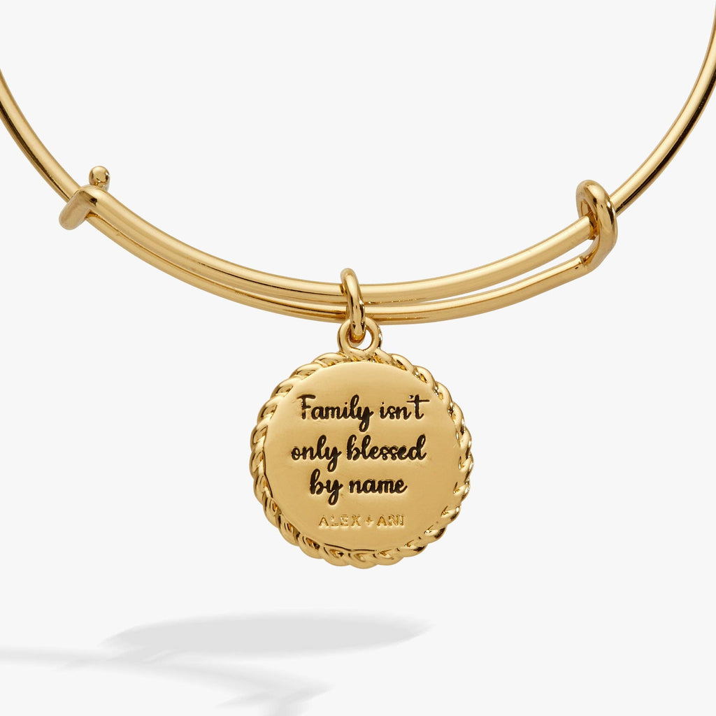 Bonus Mom 'Family Isn't Only Blessed By Name' Charm Bangle: Gold