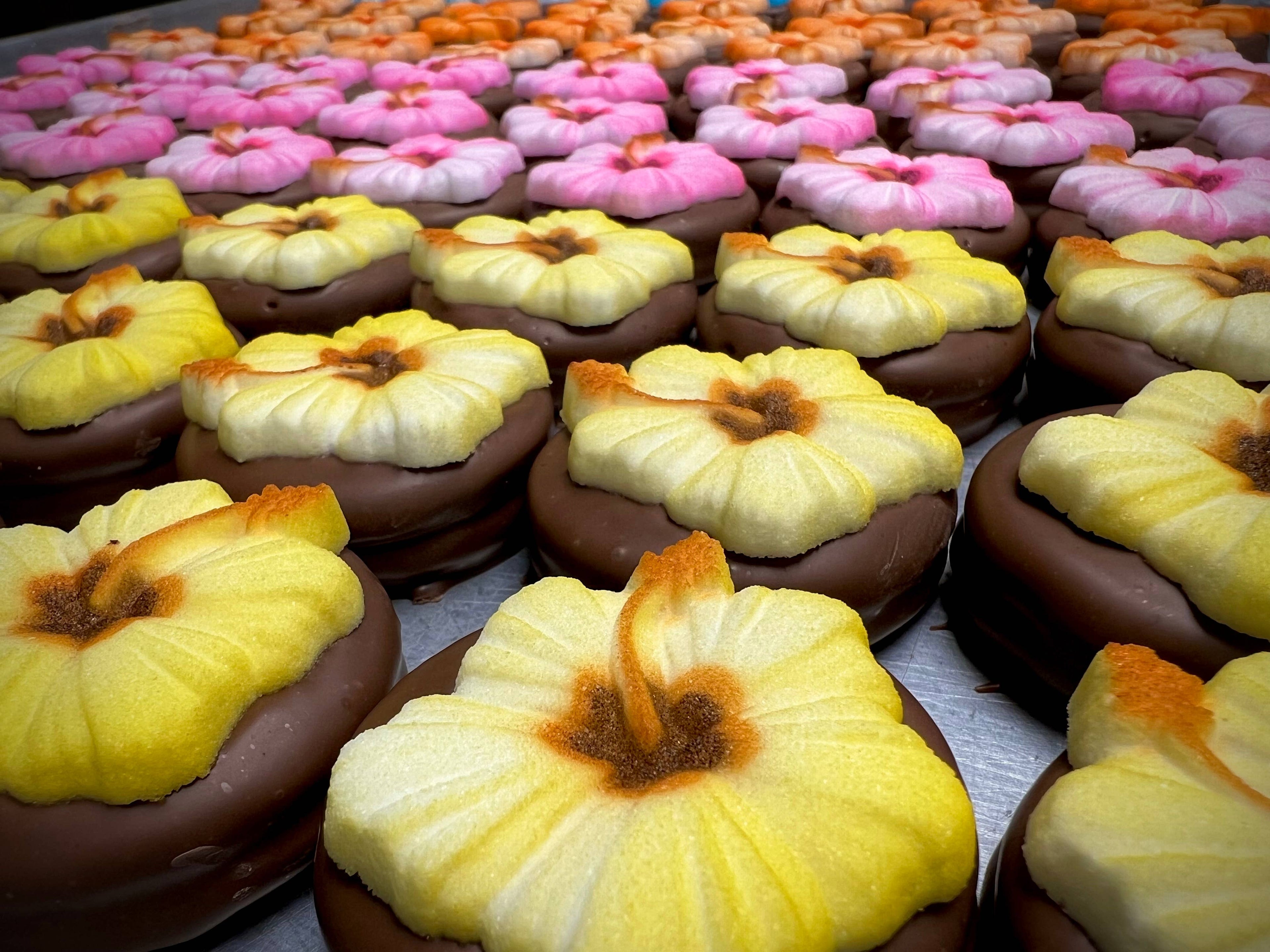 O’Hibiscus 🌺 O’Oreo w/ Milk Chocolate 3 Pack