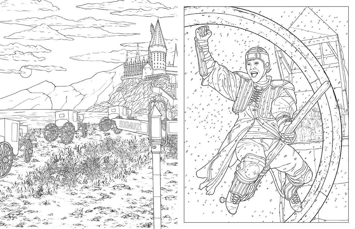 Harry Potter: Travels Through the Wizarding World