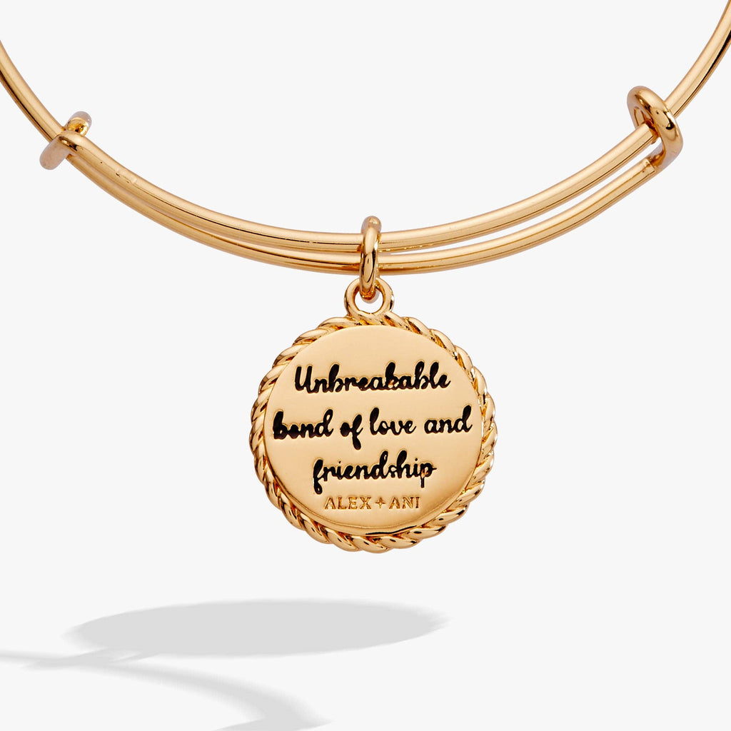 Niece 'Unbreakable Bond Of Love And Friendship' Charm Bangle: Gold