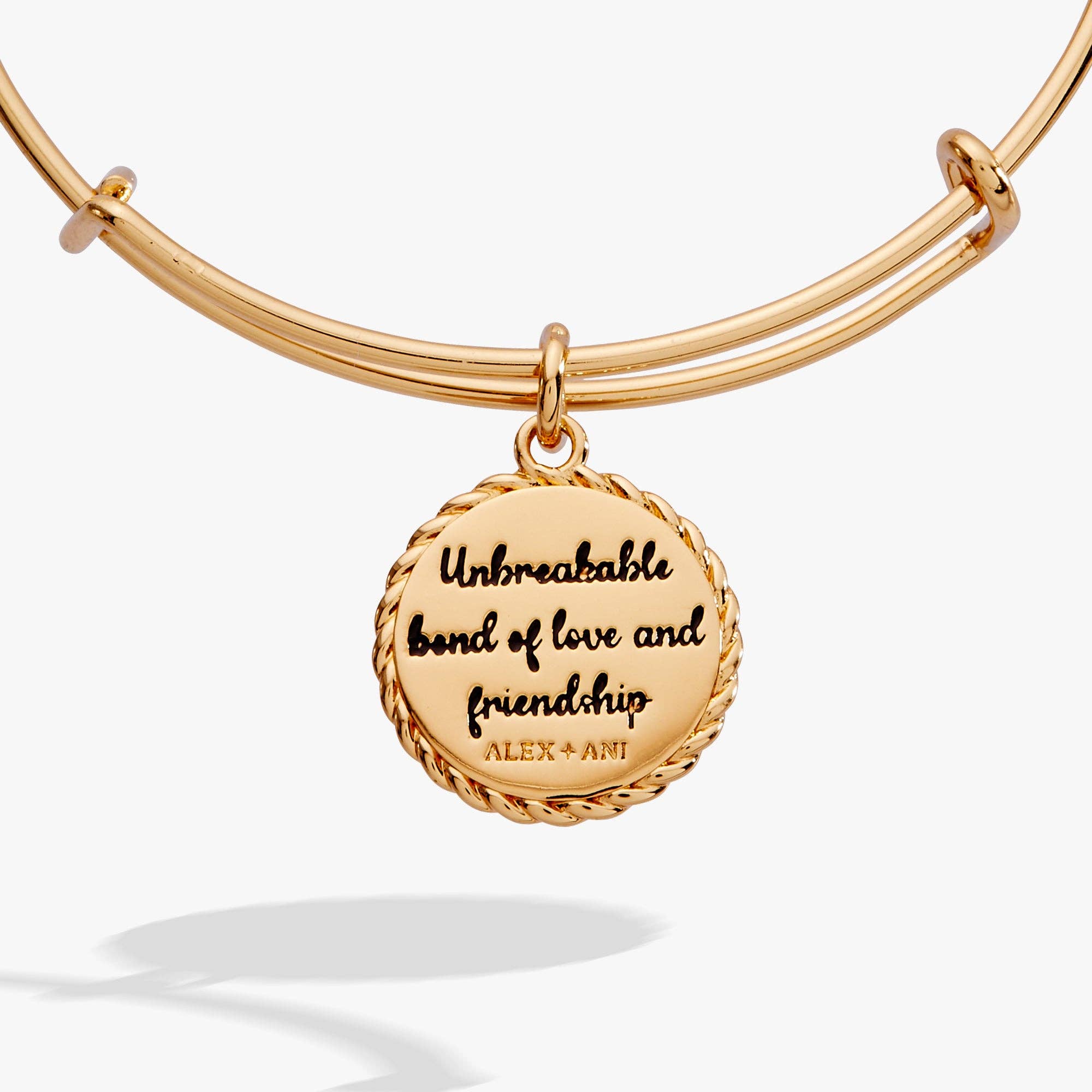 Niece 'Unbreakable Bond Of Love And Friendship' Charm Bangle: Gold