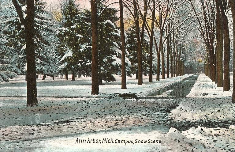Greeting Card MI-411 University in Winter, Ann Arbor