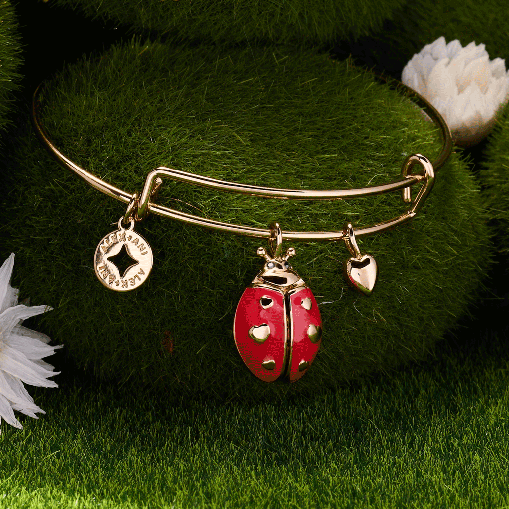 'Make Your Own Luck' Ladybug Charm Bangle: Gold