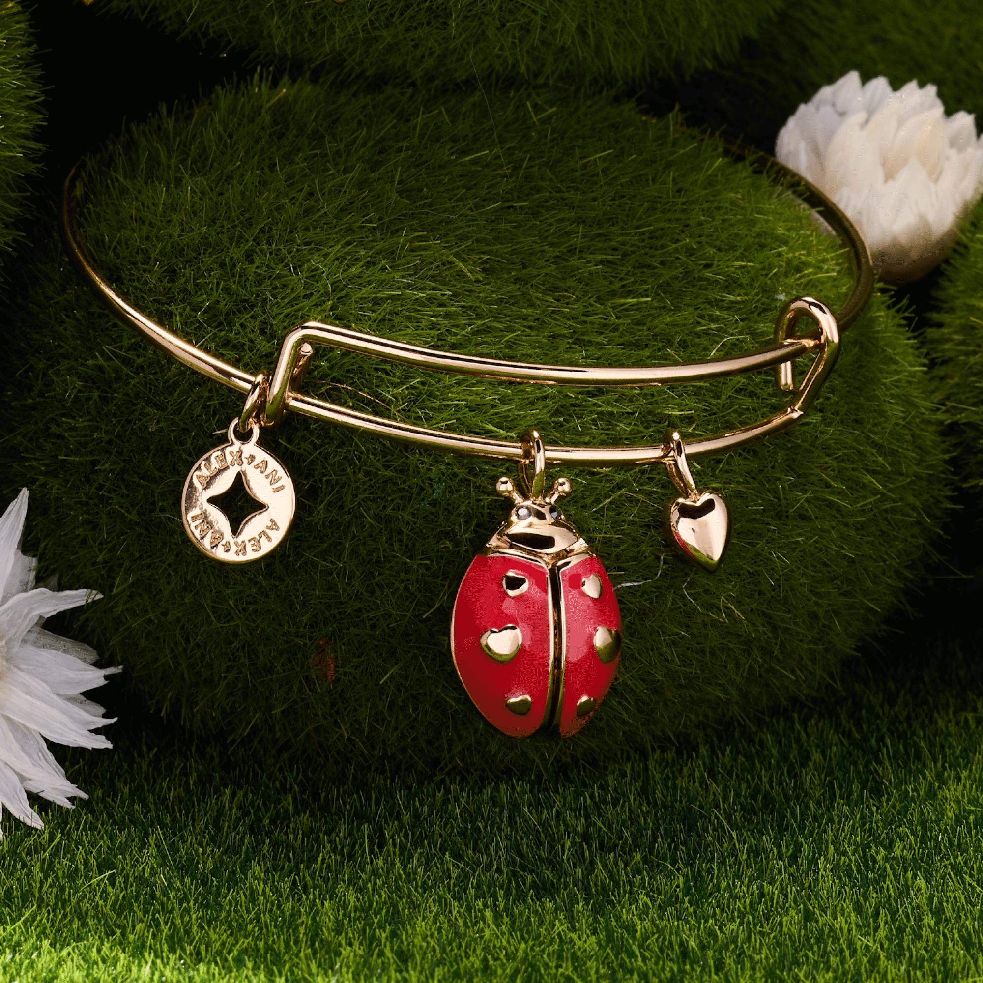 'Make Your Own Luck' Ladybug Charm Bangle: Gold